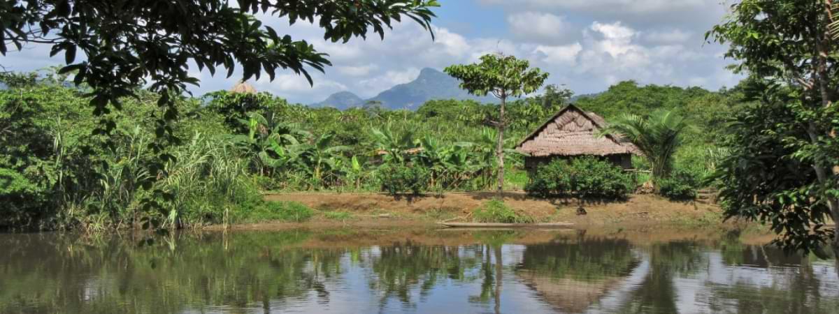 Papua New Guinea