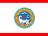 Almaty flag